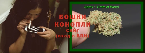 ПСИЛОЦИБИНОВЫЕ ГРИБЫ Алзамай