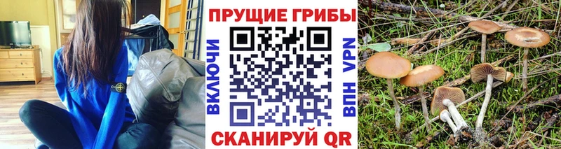 Псилоцибиновые грибы Magic Shrooms  купить наркотик  это телеграм  Пикалёво 